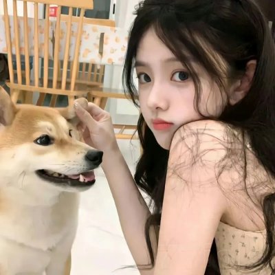 哈吉布基的森林冒险