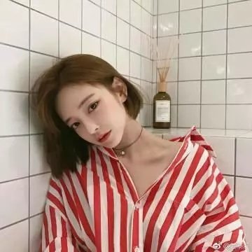屋顶上的猫